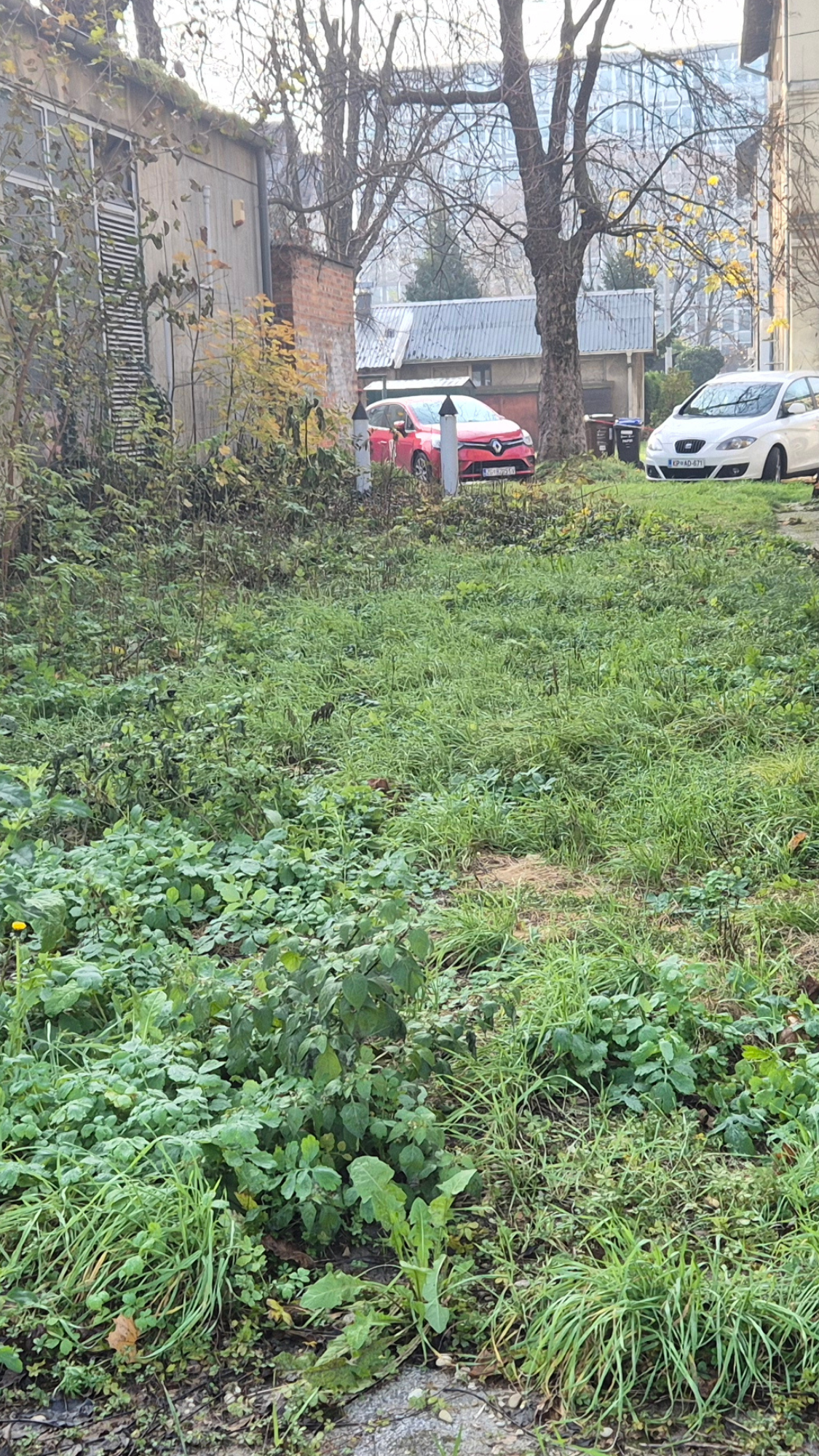 AMS Servis za čišćenje