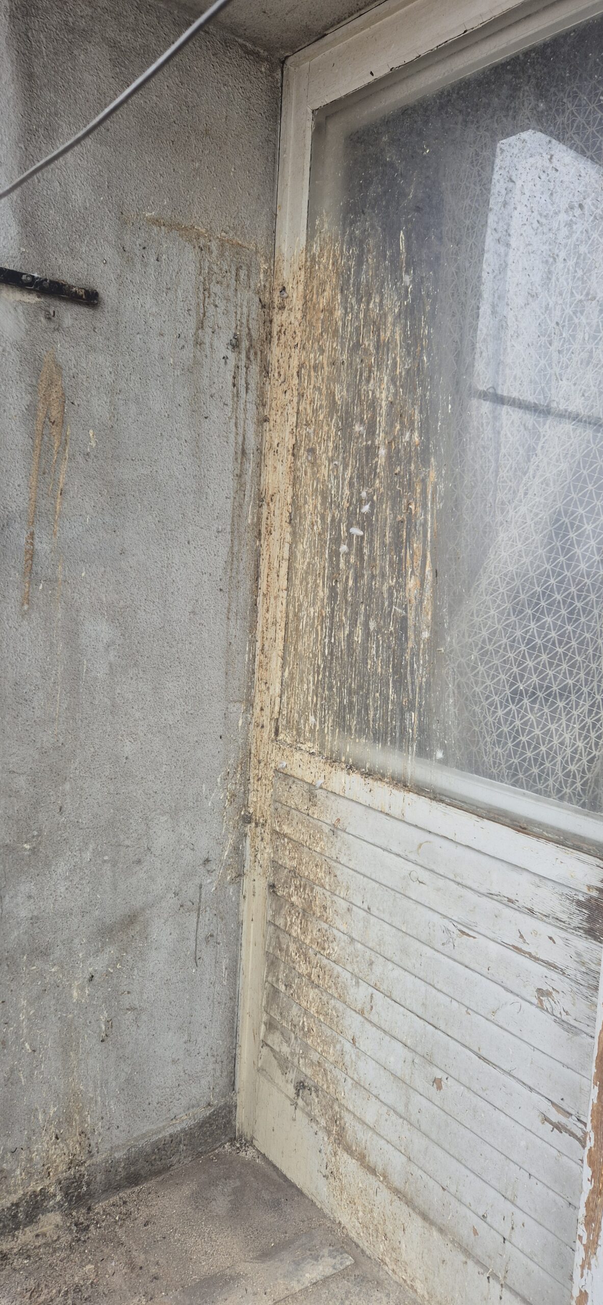 AMS Servis za čišćenje