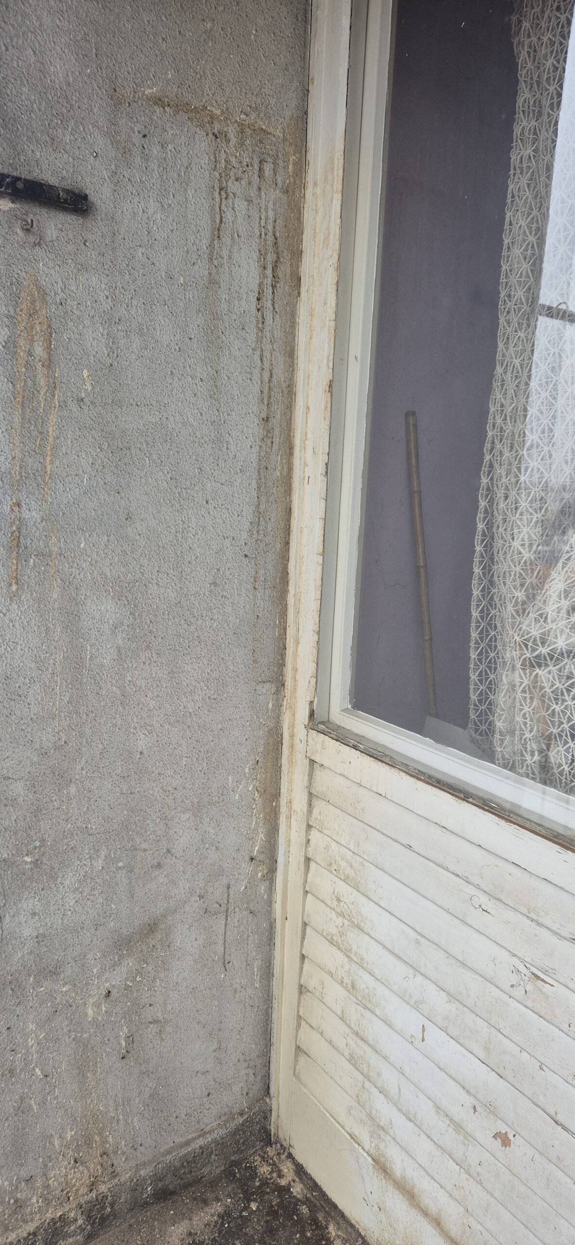 AMS Servis za čišćenje