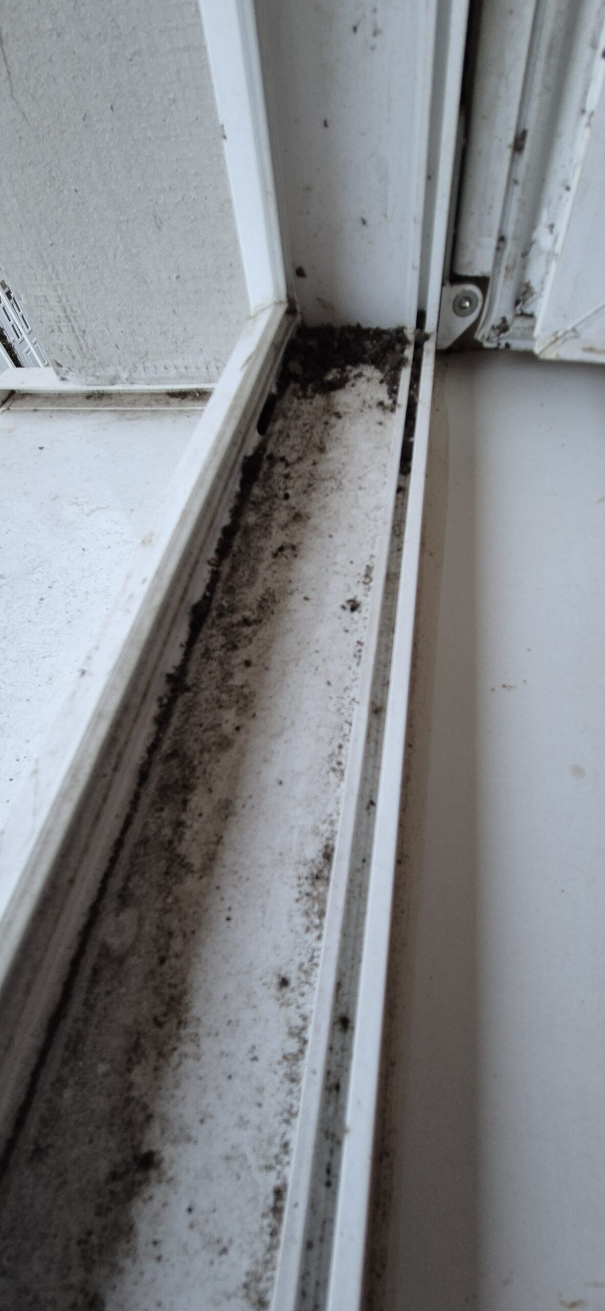 AMS Servis za čišćenje