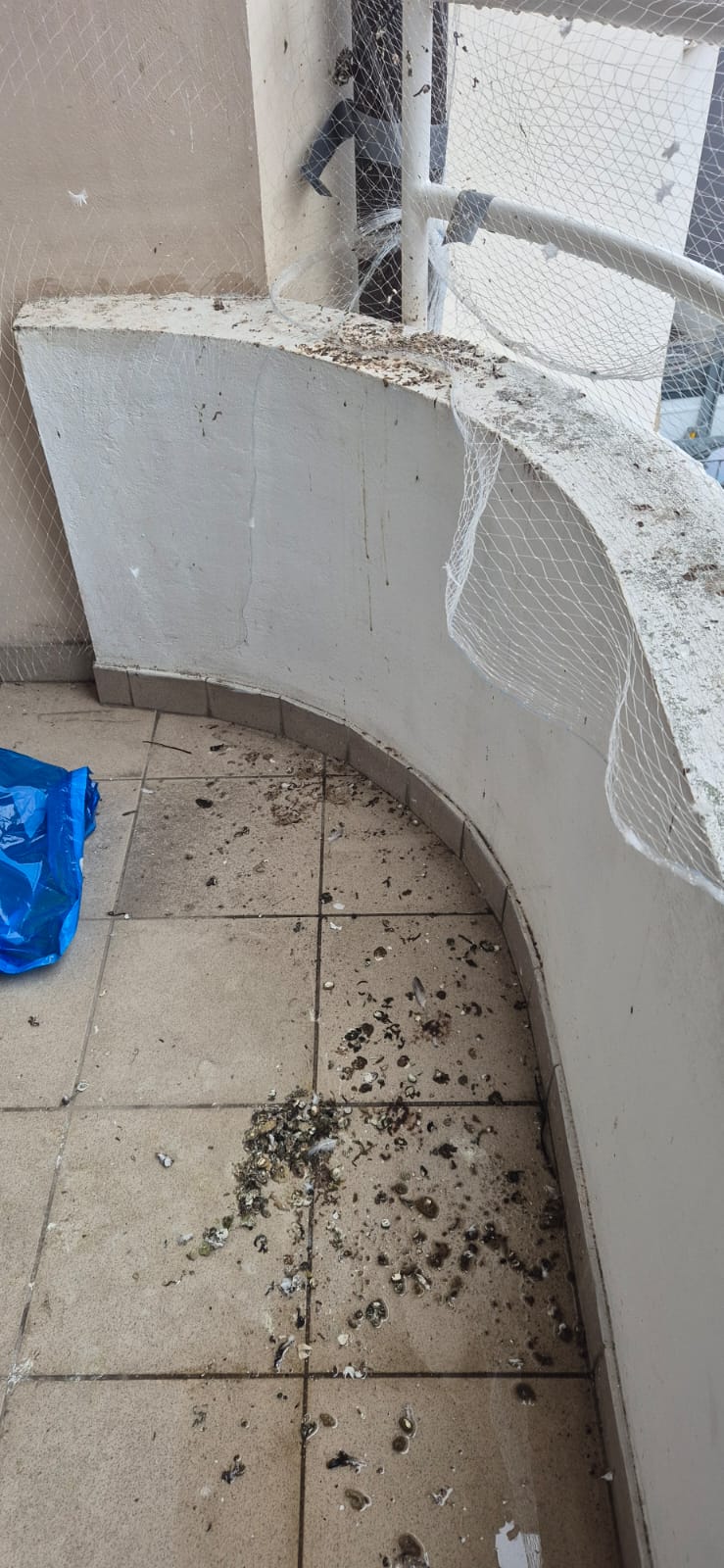 AMS Servis za čišćenje