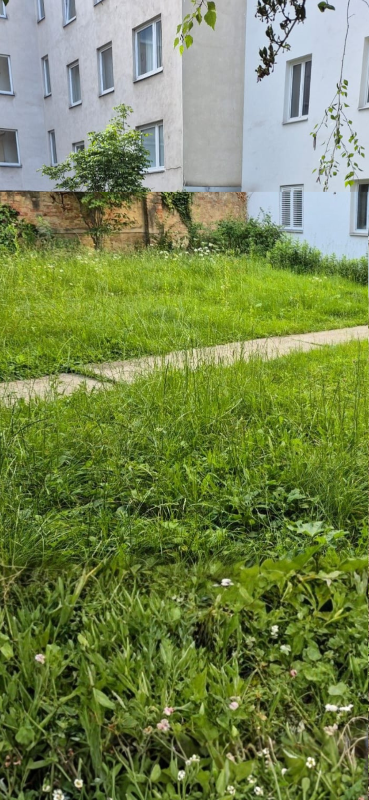 AMS Servis za čišćenje