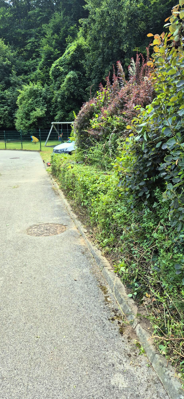 AMS Servis za čišćenje