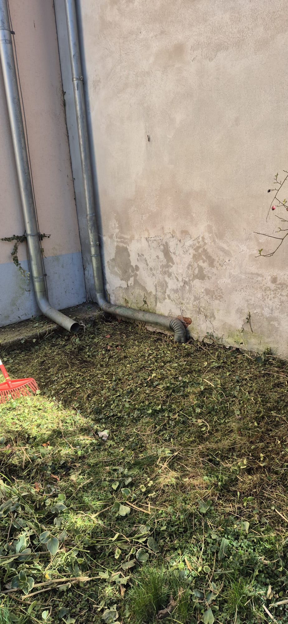 AMS Servis za čišćenje