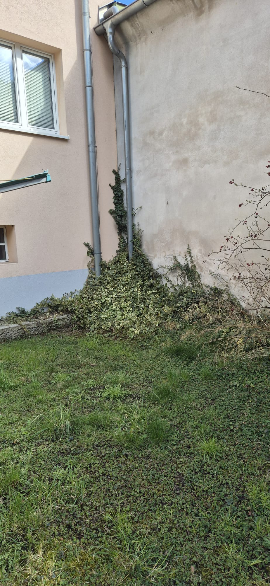 AMS Servis za čišćenje