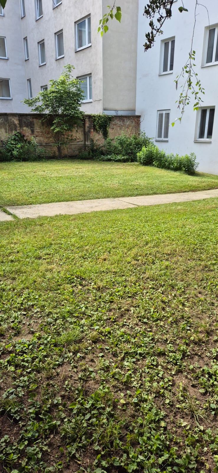 AMS Servis za čišćenje